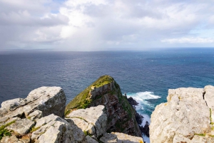 Cape Peninsula: Privat halvdagstur