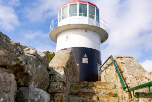 Cape Peninsula: Privat halvdagstur