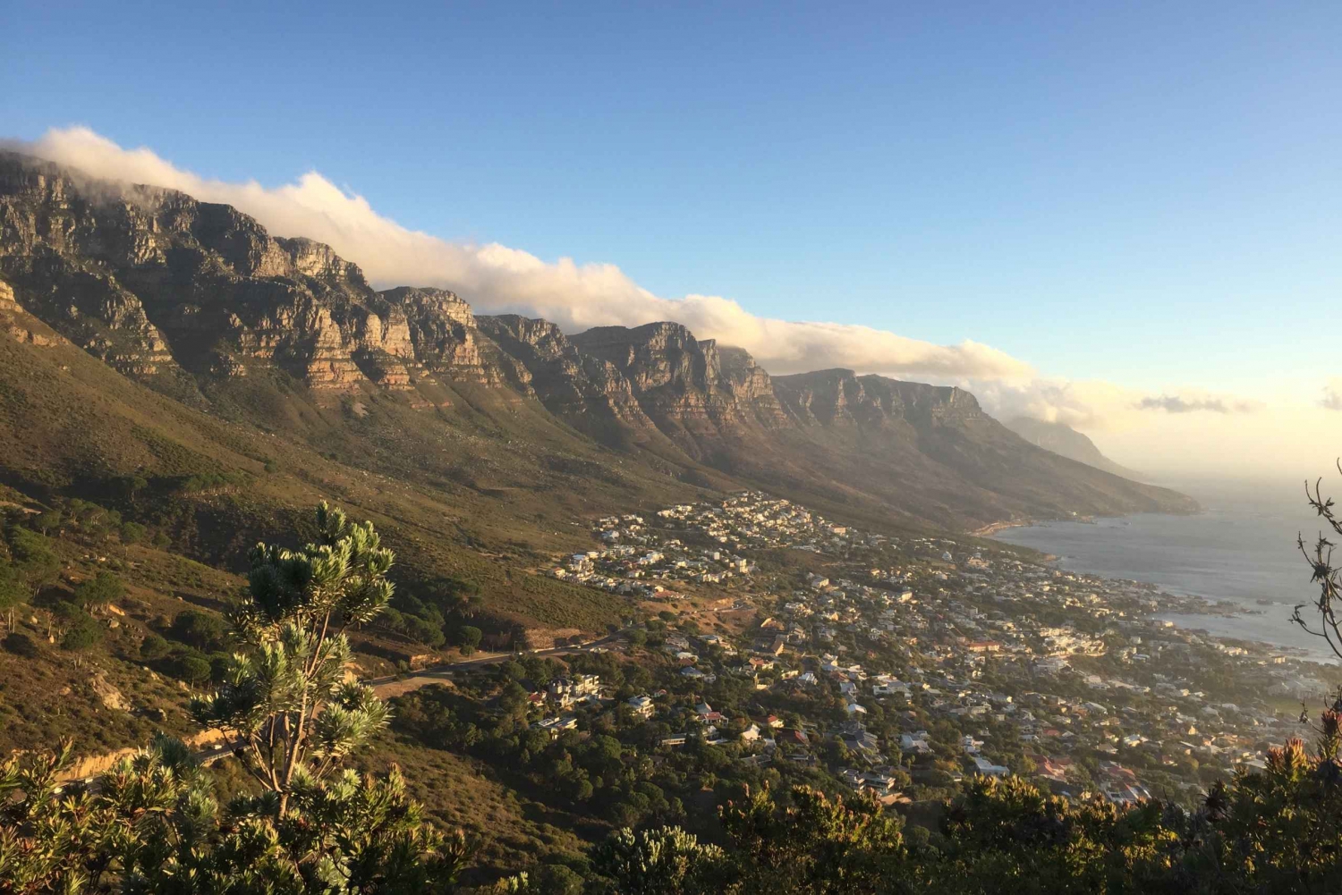 Cape Peninsula Shared Half-Day Tour