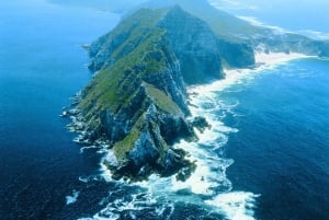 Fra Cape Town: Guidet halvdagstur til den skønne Kaphalvø