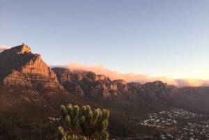 Sudafrica: tour di mezza giornata nella Penisola del Capo
