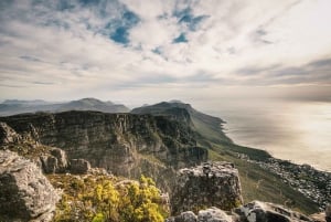 Cape Peninsula – Puolen päivän kierros