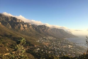 Cape Peninsula – Puolen päivän kierros