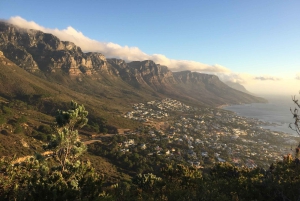 Visite partagée d'une demi-journée dans la péninsule du Cap