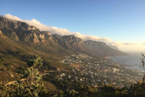 Cape Peninsula Shared Half-Day Tour