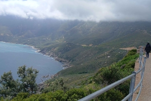 Cape Peninsula sunset tour alongside of mountain and ocean