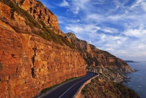 Kapstaden: Dagsutflykt till Kaphalvön & Penguin Beach