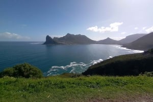 Rondleiding door het Kaapse Schiereiland
