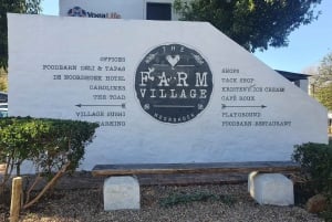 Excursão de 1 dia à Península do Cabo em carro particular