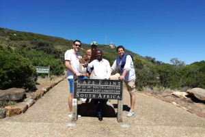 Cape Peninsula Full Day Tour In Private Car