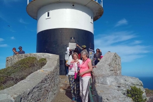 Cape Peninsula: Cape of Good Hope & Boulders Beach Penguins