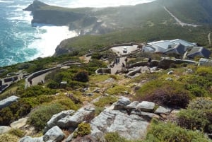 Cape Peninsula: Cape of Good Hope & Boulders Beach Penguins