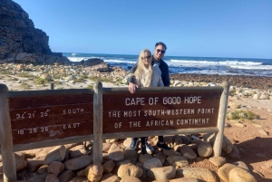 cape point and penguin ,muizenberg, bookapp