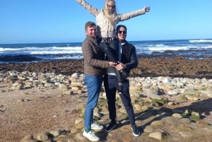 przylądek i pingwin, muizenberg, bookapp