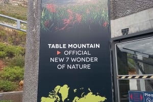 przylądek i pingwin, muizenberg, bookapp