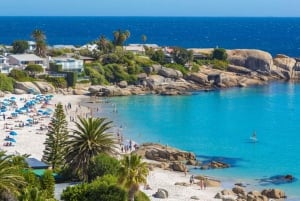 Privat tur till Cape Point och Godahoppsudden