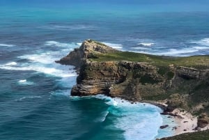 Privat tur till Cape Point och Godahoppsudden