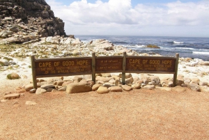 Privat tur till Cape Point och Godahoppsudden