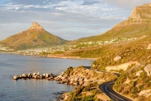 Privat tur till Cape Point och Godahoppsudden