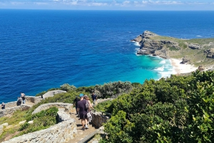 Privat tur till Cape Point och Godahoppsudden