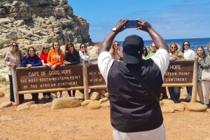 Privat tur till Cape Point och Godahoppsudden