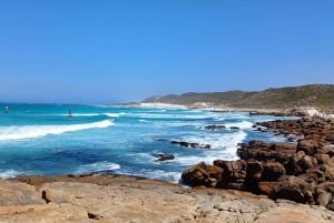 Cape Point Cape of Good Hope, Penguins Private Half day Tour