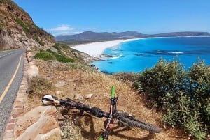 Cape Point Cape of Good Hope, Penguins Private Half day Tour
