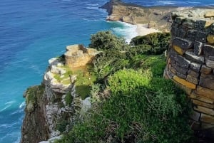 Cabo Point Cabo de Buena Esperanza, pingüinos Tour privado de medio día