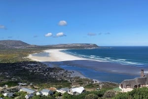 Cabo Point Cabo de Buena Esperanza, pingüinos Tour privado de medio día