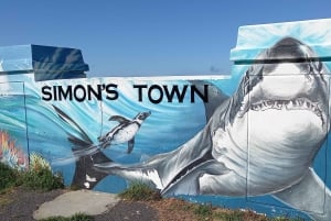Cabo Point Cabo de Buena Esperanza, pingüinos Tour privado de medio día