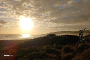 Cabo Point Cabo de Buena Esperanza, pingüinos Tour privado de medio día