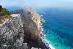 Cabo Point Cabo de Buena Esperanza, pingüinos Tour privado de medio día