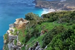 Cabo Point Cabo de Buena Esperanza, pingüinos Tour privado de medio día