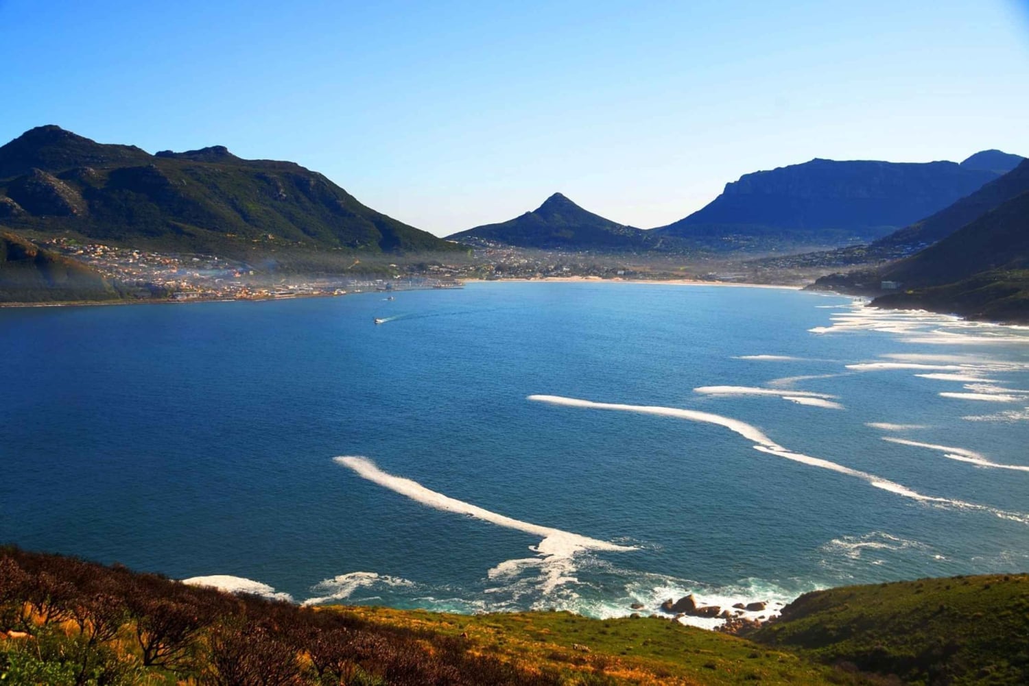 Cape Point Full-Day Tour From Cape Town