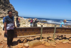 Cape Point Full-Day Tour From Cape Town