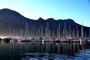 Cape Point Full-Day Tour From Cape Town