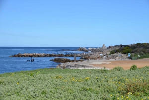 Cape Point Full-Day Tour From Cape Town