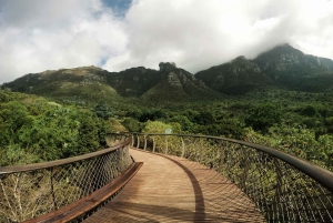 Cape Point Full-Day Tour From Cape Town