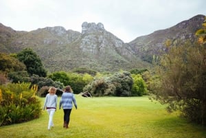 Cape Point Full-Day Tour From Cape Town