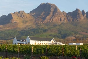 Visite des hauts lieux de Cape Point avec dégustation de vin à Stellenbosch