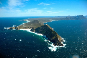 Cape Point Highlights Tour with Wine Tasting in Stellenbosch