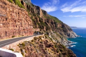 Cape Point Highlights Tour with Wine Tasting in Stellenbosch