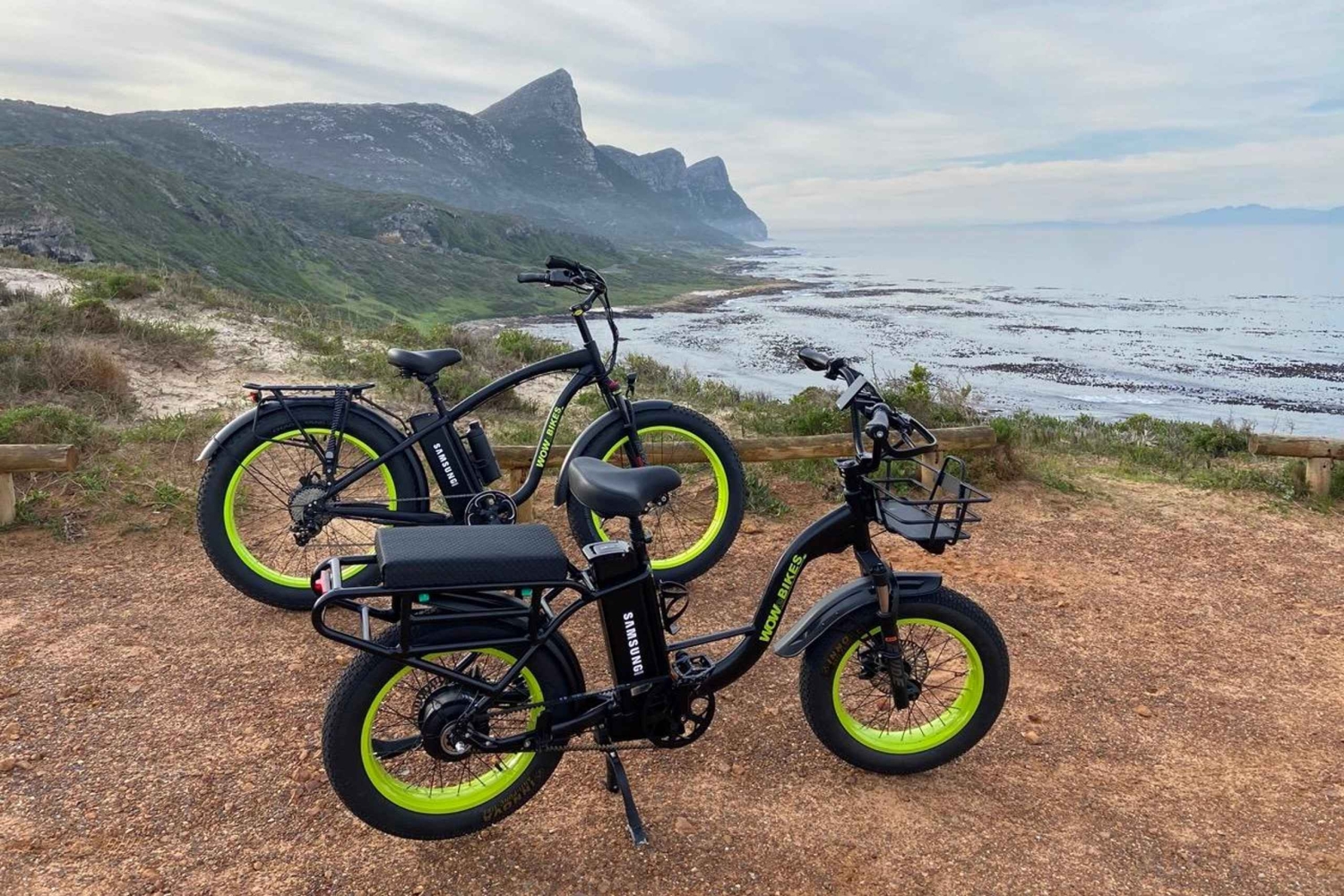 Natuurreservaat Kaappunt: e-biketour met gids