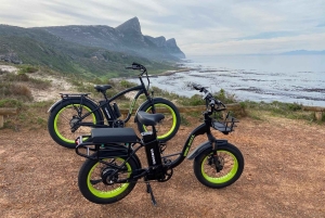 Natuurreservaat Kaappunt: e-biketour met gids