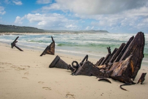 Natuurreservaat Kaappunt: e-biketour met gids