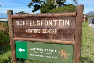 Natuurreservaat Kaappunt: e-biketour met gids