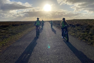 Natuurreservaat Kaappunt: e-biketour met gids