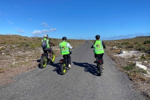 Natuurreservaat Kaappunt: e-biketour met gids