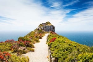 Cape Point Nature Reserve: Iconic E-Bike Tour with Guide