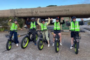 Cape Point Nature Reserve: Iconic E-Bike Tour with Guide